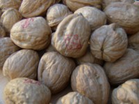 /album/recepten-hartig-en-zoet/eetfoto-s-016-jpg/